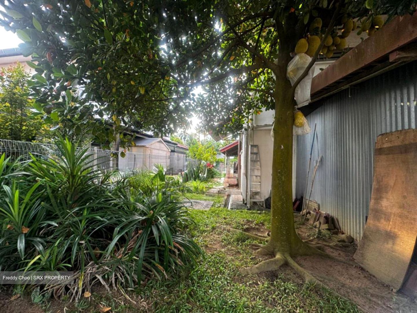 Bukit Loyang Estate (D17), Semi-Detached #500261271